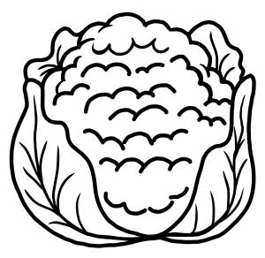Раскраска Вилок цветной капусты