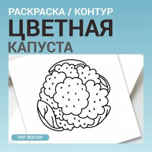 Цветная капуста овощ