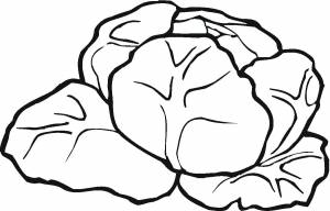 Раскраска Капуста 24