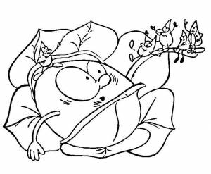 Раскраска Капуста 8