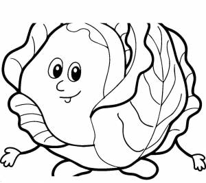 Раскраски Раскраска Капуста Овощи Овощи