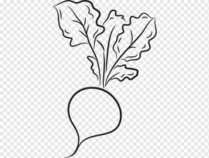 Черно-белый цветок, рисунок, овощи, цветочный дизайн, мультфильм, штриховые рисунки, цветная капуста, морковь, мультфильм, Черное и белое, ветка png