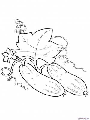 Раскраски огурец