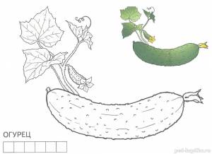 Раскраска Огурец