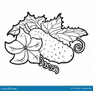 Книжка-раскраска, огурец иллюстрация вектора