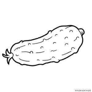 Раскраски Огурец для детей