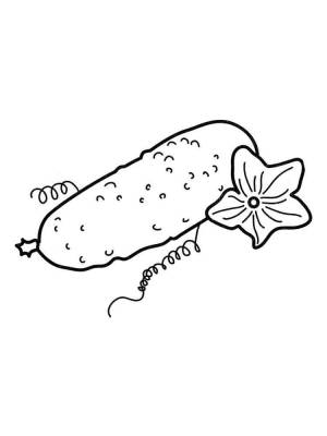 Раскраска Огурец