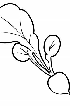 Раскраска Редис для малышей