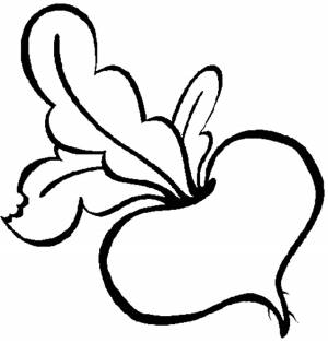 Раскраски Раскраска Редис