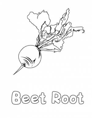 Раскраски Раскраска Редис