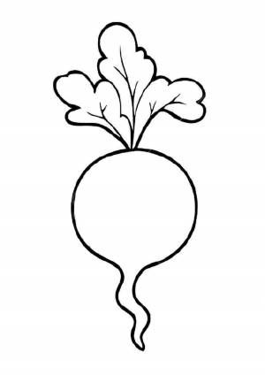 Редиска раскраска