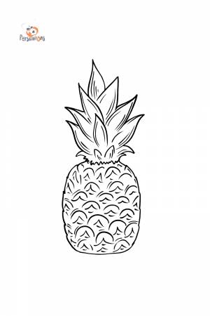 Раскраска Ананас Раскрашивать Онлайн  !