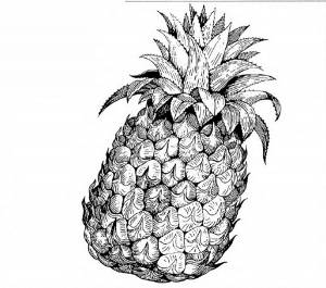 Раскраски Ананас