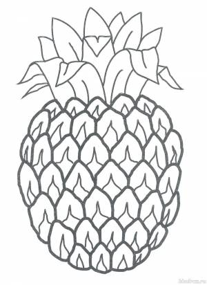 Раскраски для малышей 2-3-4 лет