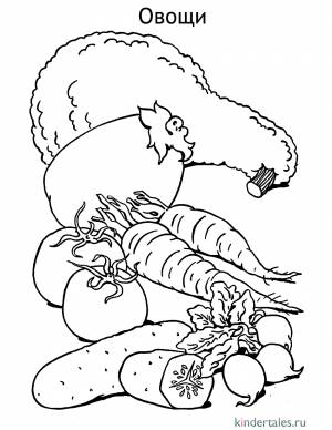 Тыква, баклажан, морковь, помидор, огурец, редис» раскраска для детей