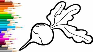 Как нарисовать РЕДИСКУ