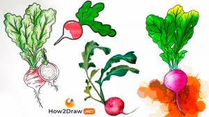 Как нарисовать редиску карандашом и фломастерами