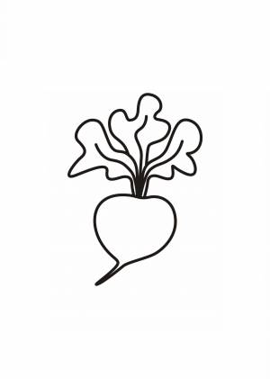 Раскраска редис