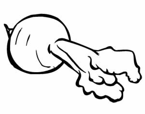 Раскраски Раскраска Редиска