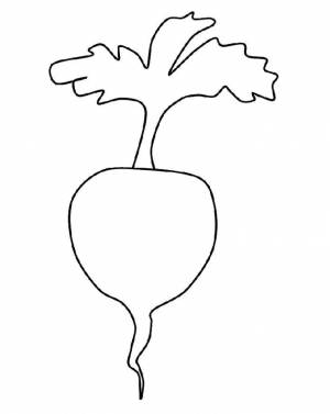 Раскраски редис, Раскраска Контур редиса овощи