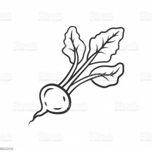 Раскраска редис