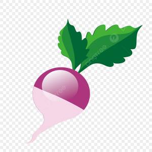 свежие овощи красная вода редька PNG , редис, овощи, фруктовый редис PNG картинки и пнг рисунок для й загрузки