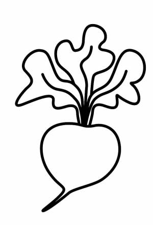 Раскраска редиска  и