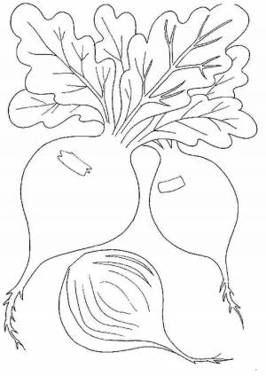 Раскраски Редиска