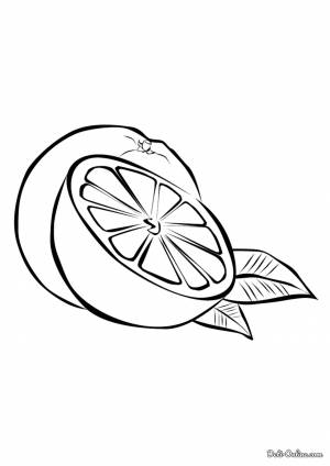 Раскраска Апельсины