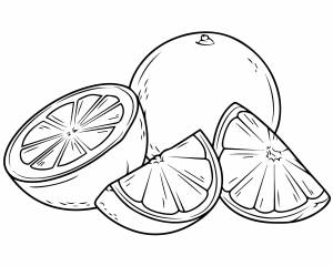 Скетчинг апельсин