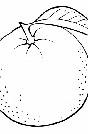 Раскраска Апельсин ♥ Раскрашивать Онлайн  !
