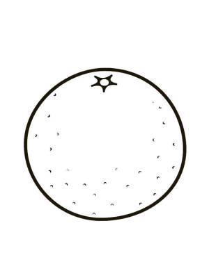 Раскраски Раскраска Апельсин апельсин на праздники