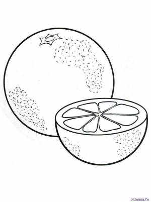 Раскраска апельсин 3