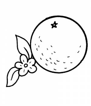 Раскраска Апельсин