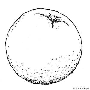 Раскраски Апельсин для детей