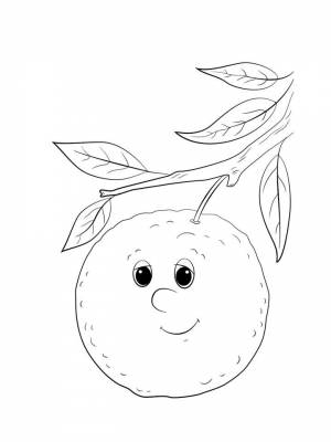 Раскраска Апельсин картинка для детей
