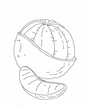 Раскраска Апельсин и Долька 5