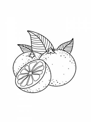 Раскраска Апельсин  в формате