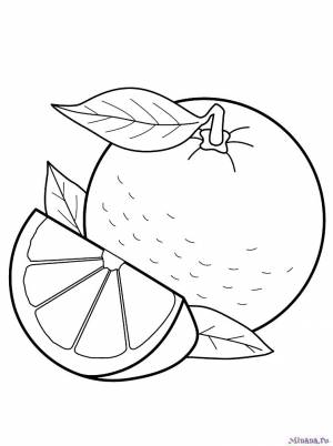 Раскраска апельсин