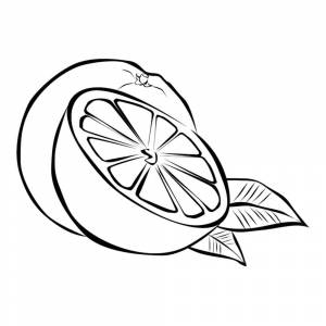 Раскраска Апельсины