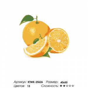 KTMK-25626 Сочный апельсин Раскраска по номерам на холсте Живопись по номерам недорого