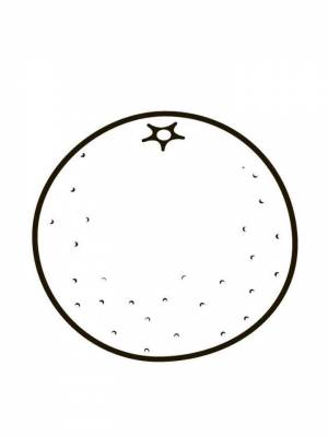 Раскраска Апельсин картинка на листе  для девочек