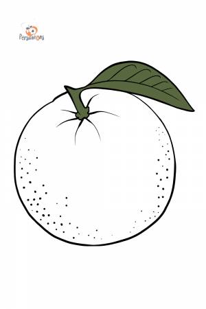 Раскраска Апельсин для детей