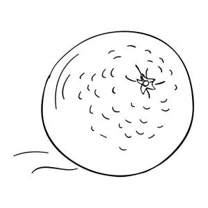 Раскраски Апельсин для детей