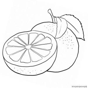 Раскраски Апельсин для детей