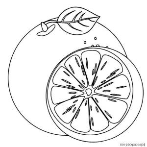 Раскраски Апельсин для детей