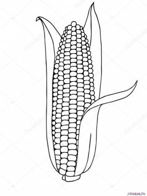 Раскраска кукуруза 12