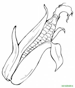 Раскраски Раскраска Кукуруза овощи детские