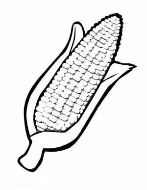 Раскраска Кукуруза
