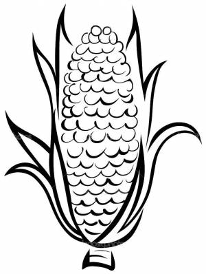Раскраски Раскраска Кукуруза Кукуруза, Сайт раскрасок